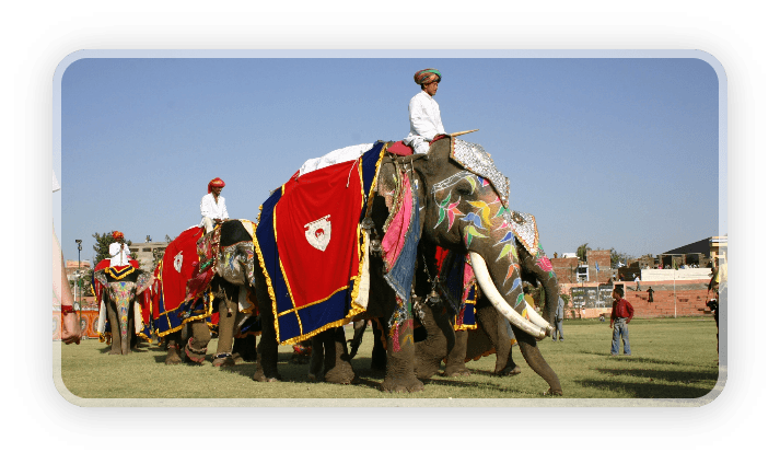 Mężczyźni w turbanach jadą na zdobionych słoniach